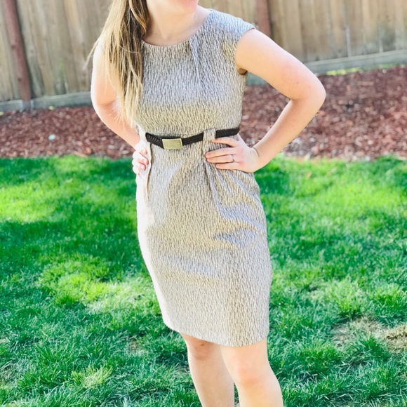 🍁🍁connected apparel CLASSY & COMFY Dress🌻🌻 - Picture 4 of 8